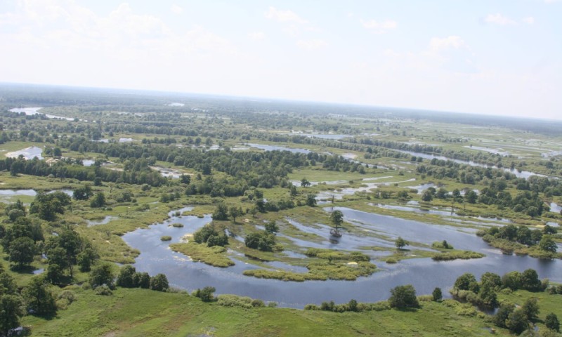 Нацыянальны парк «Прыпяцкі» в Минске